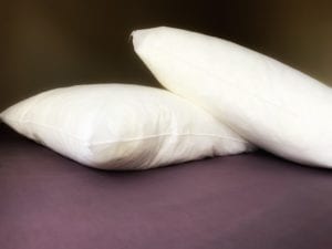 Close up of two euro pillow inners