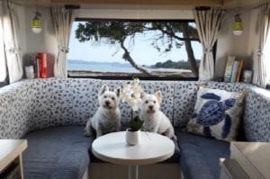 Two small white dogs sit on refurbished motorhome grey seat cushions and grey and white leafy floral patterned back cushions.