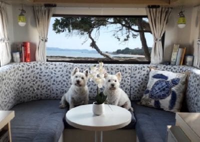 Two small white dogs sit on refurbished motorhome grey seat cushions and grey and white leafy floral patterned back cushions.