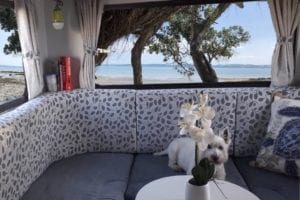 Motorhome rear lounge with grey seat cushion and grey leafy floral upholstered back cushion. Small white dog sits on lounge behind a table with an orchid in a vase.