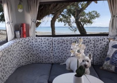 Motorhome rear lounge with grey seat cushion and grey leafy floral upholstered back cushion. Small white dog sits on lounge behind a table with an orchid in a vase.